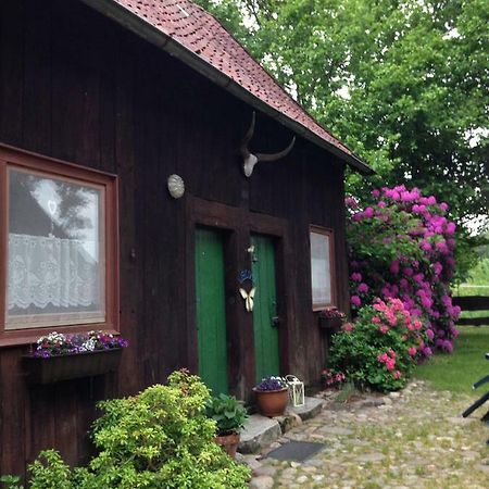 Вилла Reiterhof Winandy Витцендорф Экстерьер фото